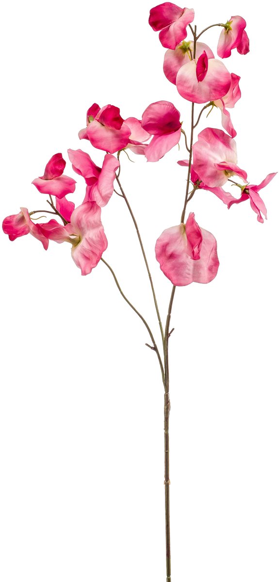 Emerald Kunstbloem Pronkerwt 75cm roze - Kunstplant voor binnen