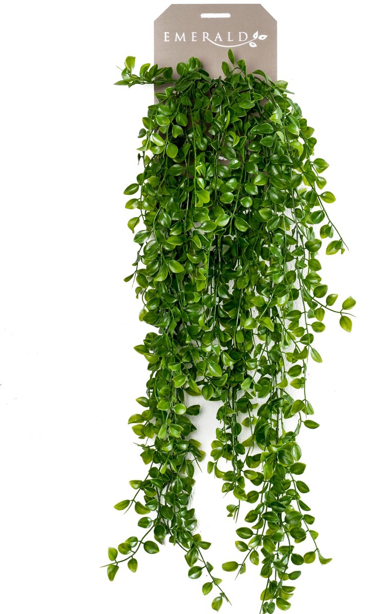 Emerald Kunst Hangplant Ficus Pumila 80cm - Kunstplant voor binnen Groen