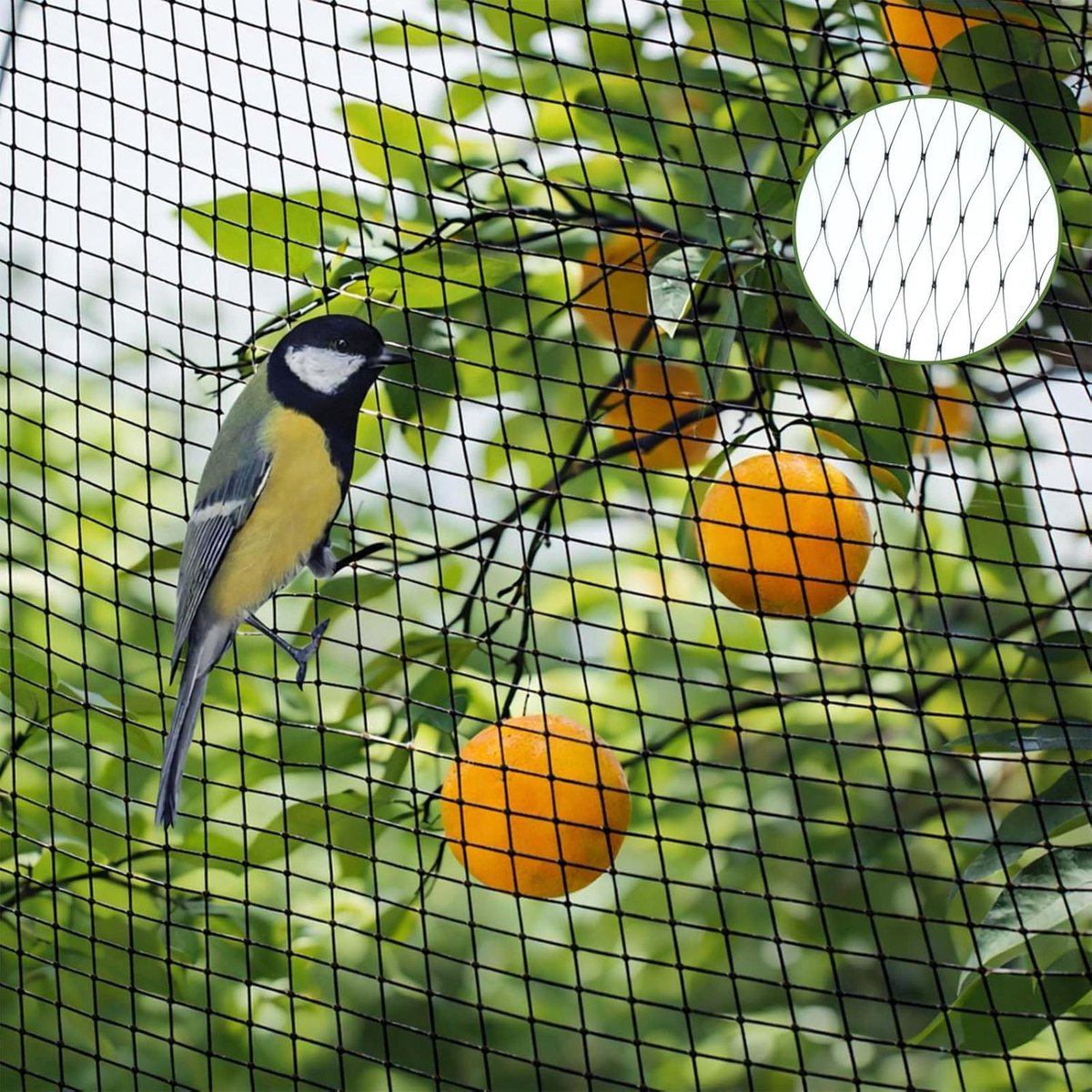 Vogelbeschermingsnet, tuinnet, duivennet, vogelbeschermingsnet, tuinnet, beschermingsnet, voor planten, fruit, vijvers, groenten, vijver, groen (Zwart, 4 x 12 m)