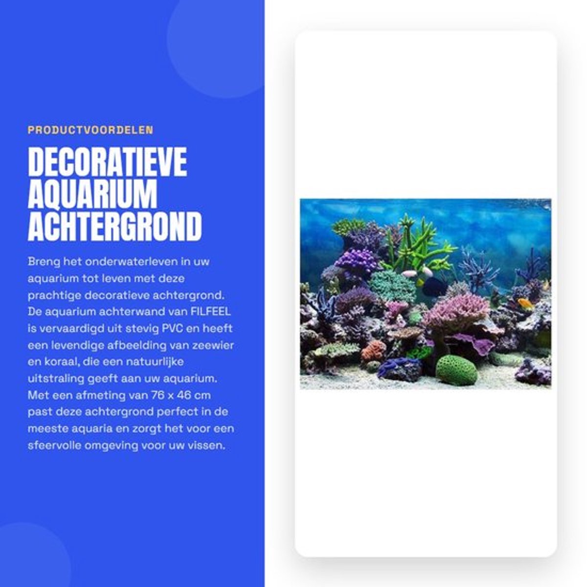 Aquariumachtergrond Waterdicht - PVC Achtergrond - Zeewater Koraal - Decoratieve Schildering - 76 x 46 cm - Schokbestendig - Achtergronddecoratie