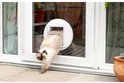 Lichtbruine kat met donkere oren verlaat een wit kattenluik in een glazen deur.