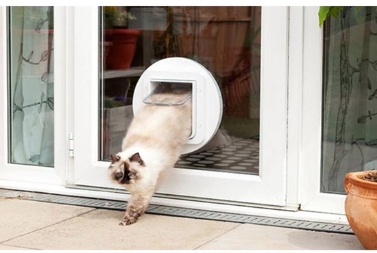 Lichtbruine kat met donkere oren verlaat een wit kattenluik in een glazen deur.