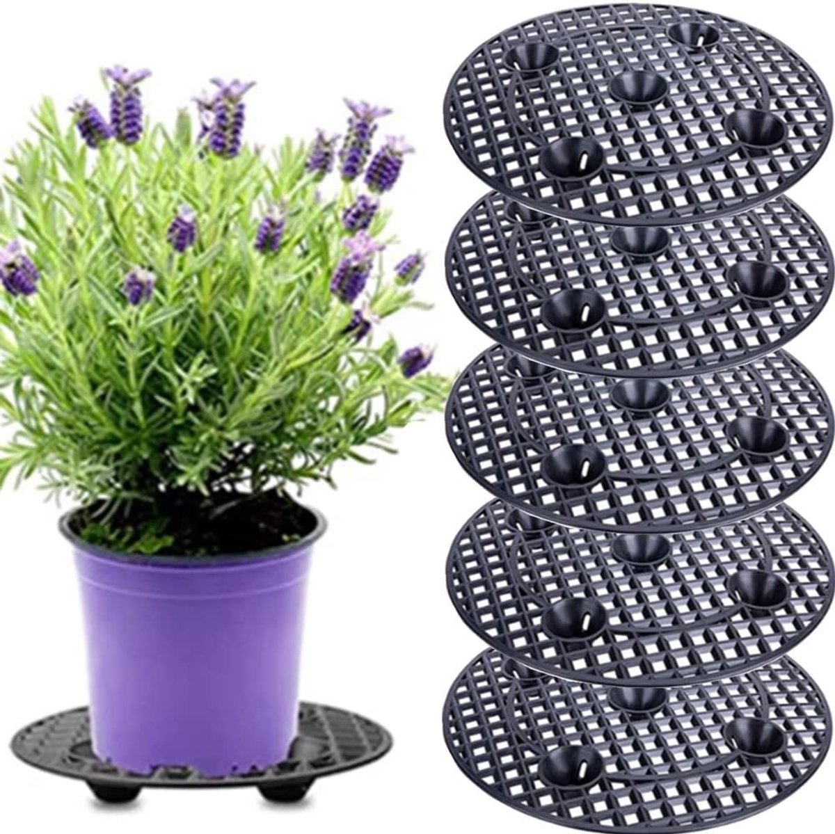 SnelShoppen - 6 Stuks Plant Level Pot Lift - 20cm Zware Plastic Plant Stand - Zwarte Ronde Pot Houder - Voor Binnen en Buiten - Ideaal voor Planten en