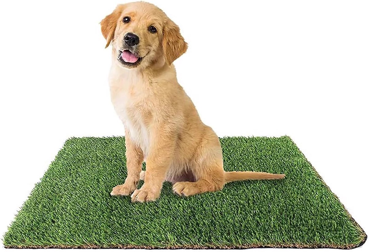 Kunstgras Mat - Synthetisch Gazon - Huisdier Training - Zacht en Weelderig - 100 x 200 cm - Groen