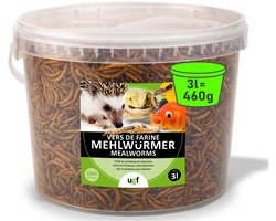 Dailygoods- Gedroogde Meelwormen 460 g - Vogelvoer - Egelvoer - Eekhoornvoer - Hamstervoer - 51% Proteïne - Perfect voedingssupplement - Insectenvoer