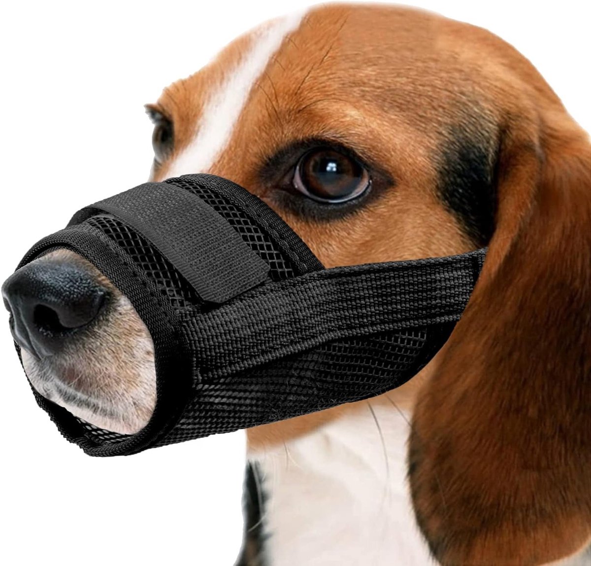 Ademend Nylon Hondenmuilkorf met Verstelbare Bandjes voor Voorkomen van Bijten en Schreeuwen, Ideaal voor Training en Wandelen