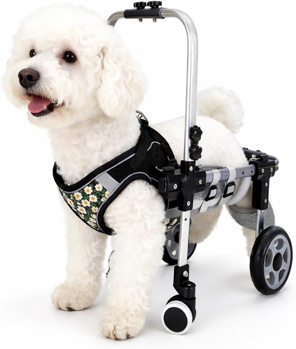 Rolstoel voor honden - Hondenmobiliteitshulp Looprek - Huisdier Revalidatie - Volledige Voor- en Achterpoot Ondersteuning - Maat S - Zwart