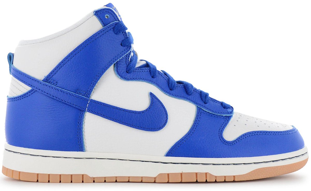 Nike Dunk High Retro SE Heren Sneakers Schoenen FV6612-001 Blauw