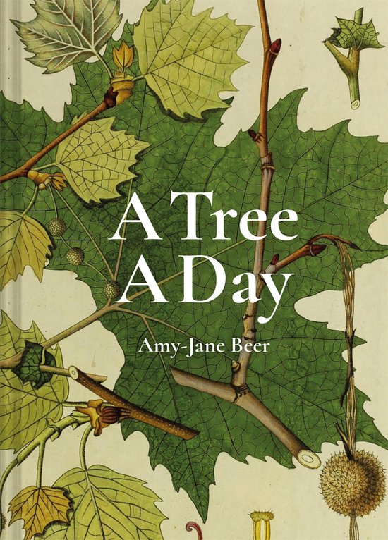 A Day - A Tree A Day