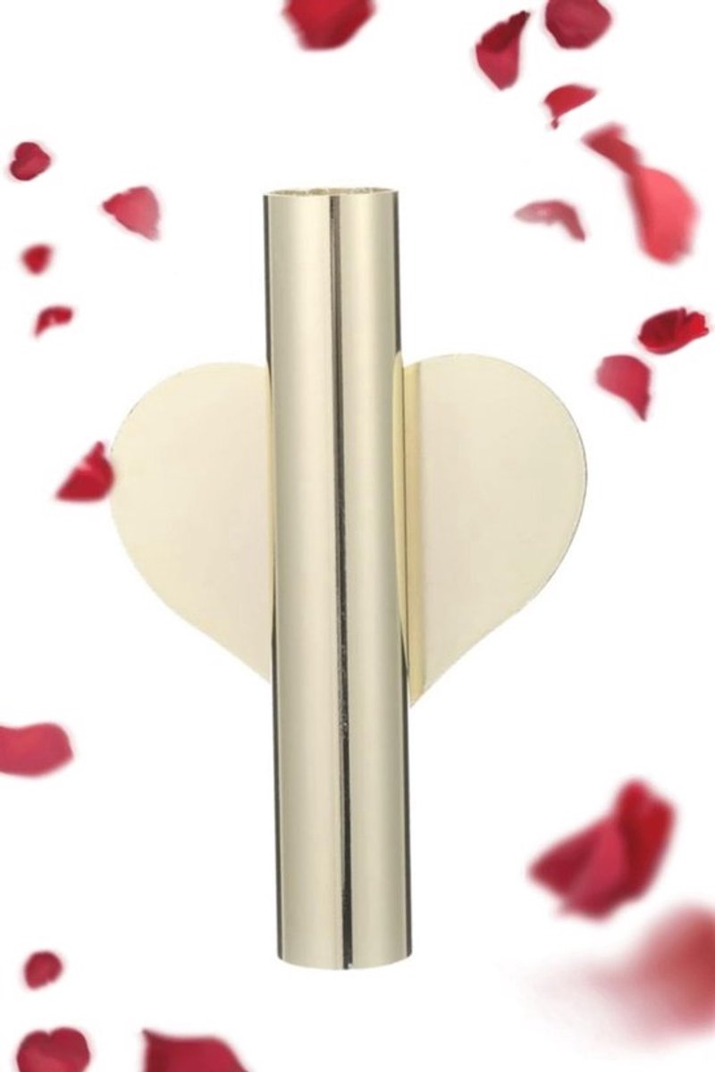 Twee hartvormige wandbloemenvazen dailygoods