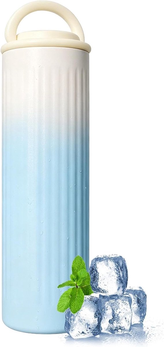 Koelelementen - IJspakken - Langdurige Koeling - Lekvrije Roestvrij Staal - 17 cm - Blauw