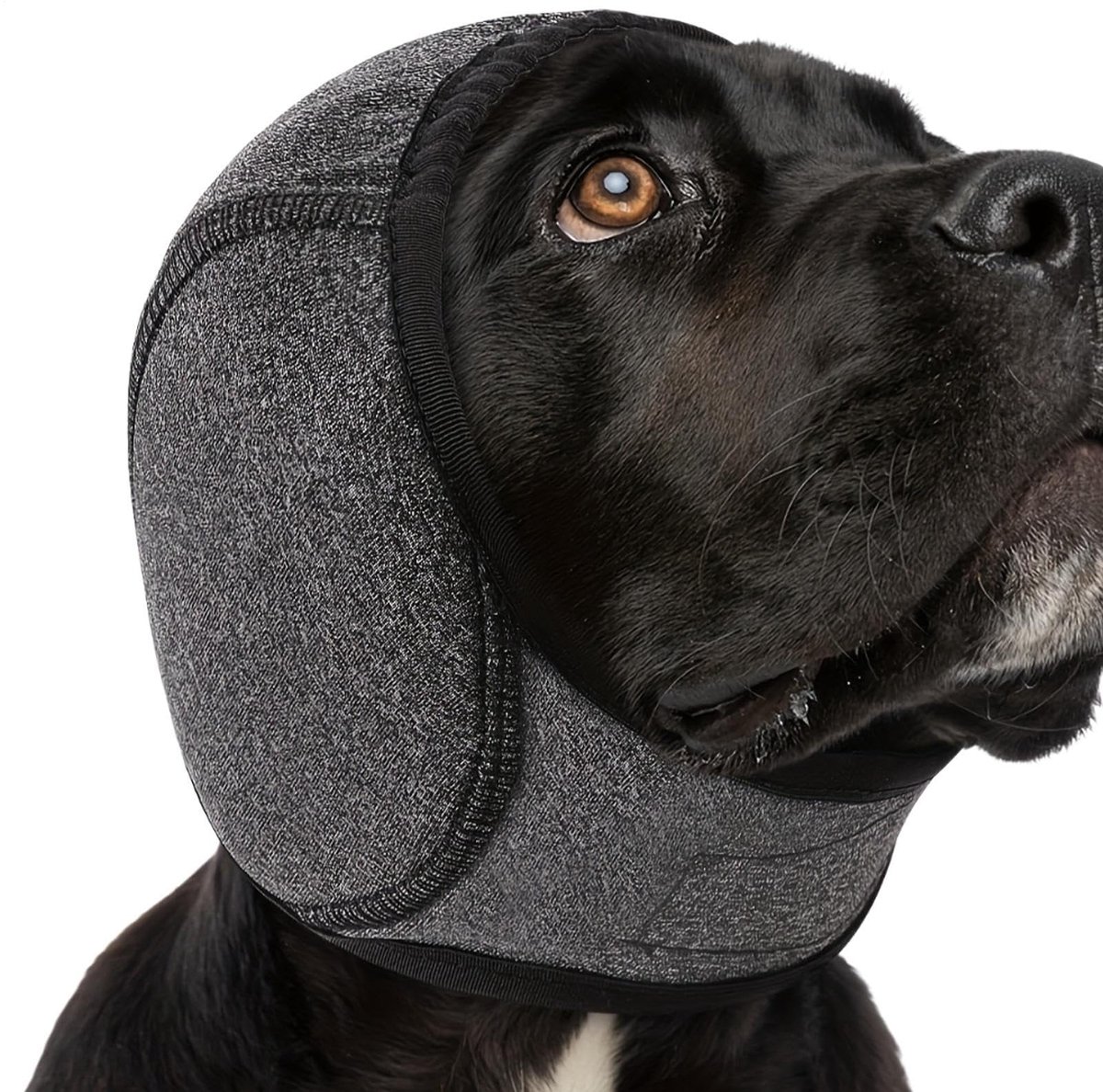 Oordoppen voor honden - waterdichte gehoorbescherming - verstelbare oorkappen
