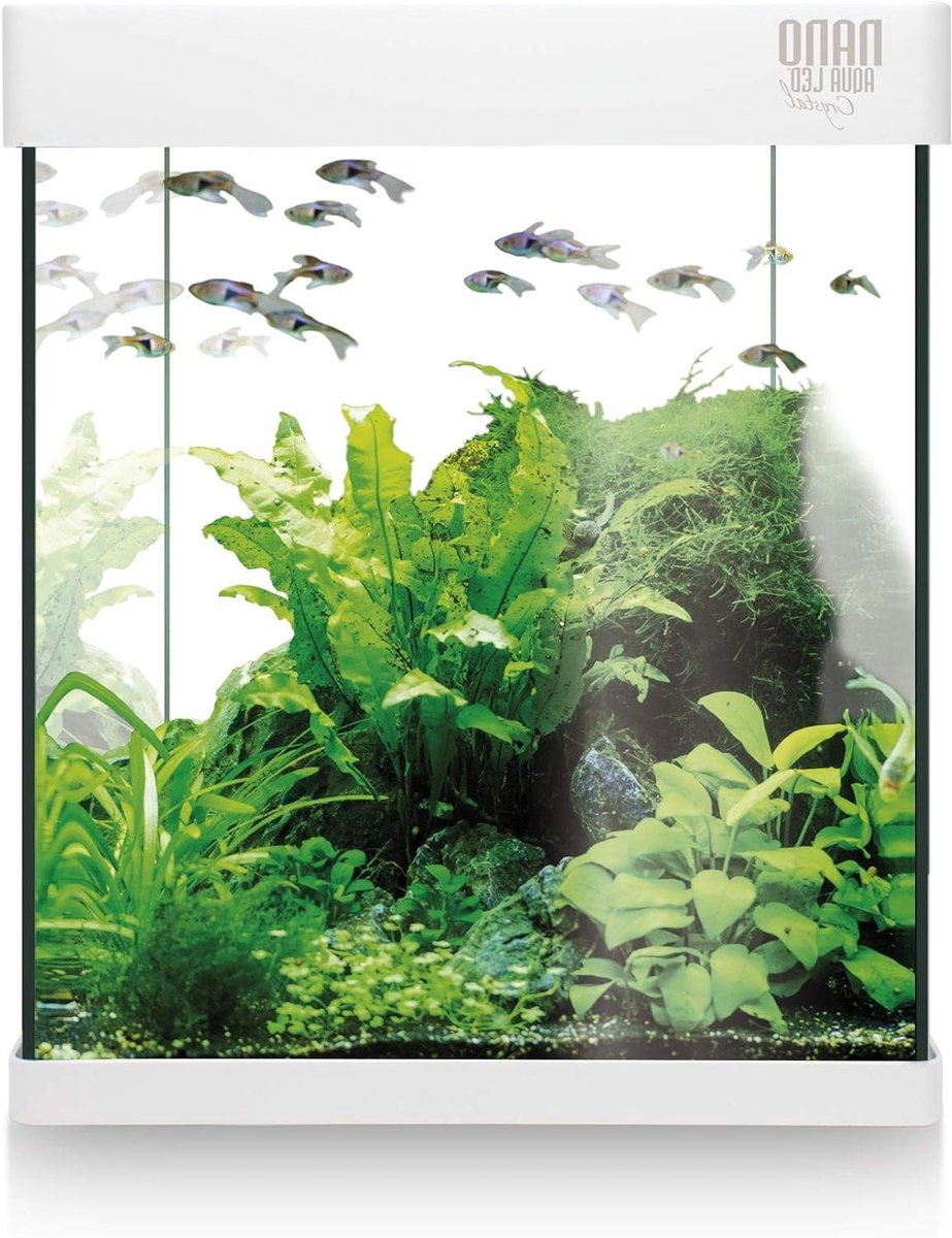 Aquarium Set - Mini Aquarium - Vis Houden - Met Ledverlichting - 10 Liter - Transparant