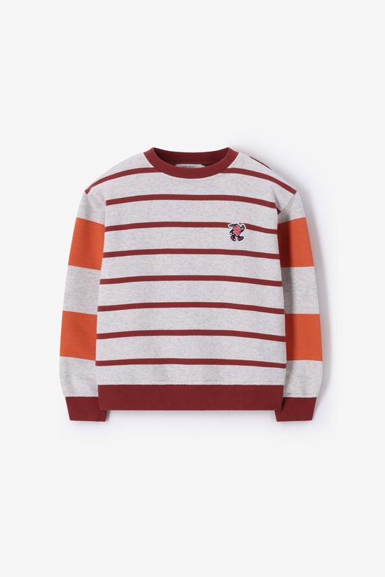 Grijze Sweater Met Strepen