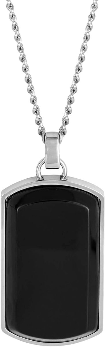 Hondenpenning RVS - Hondenlabel ID Tag - Huisdier Identificatie - Zwarte Onyx Inleg - 55 cm - Zilverkleurig