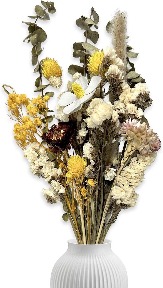 Gedroogde Bloemen - Droogboeket Boho - Woonkamer Decoratie - Natuurlijke Echte Bloemen - 25 x 23 x 6 cm
