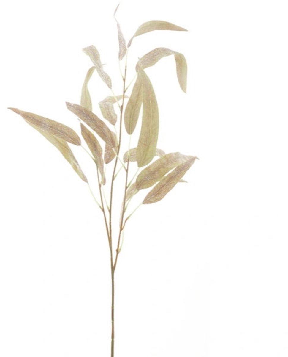 Hortus Kunsttak eucalyptus brown, 74 cm Hortus onbekend