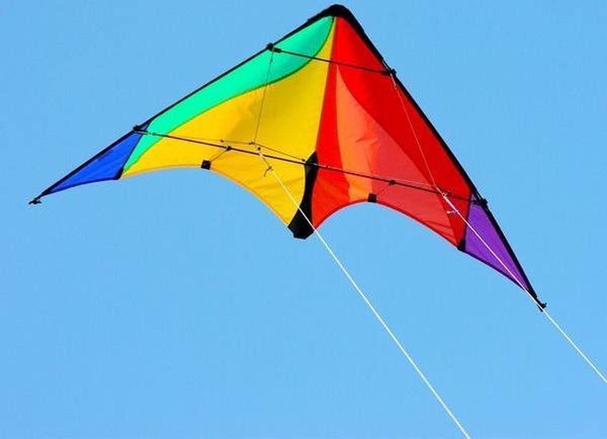 Delta vlieger beginners - rainbow design - voor wind 5-38 km/h - eenvoudig te besturen - SnelShoppen