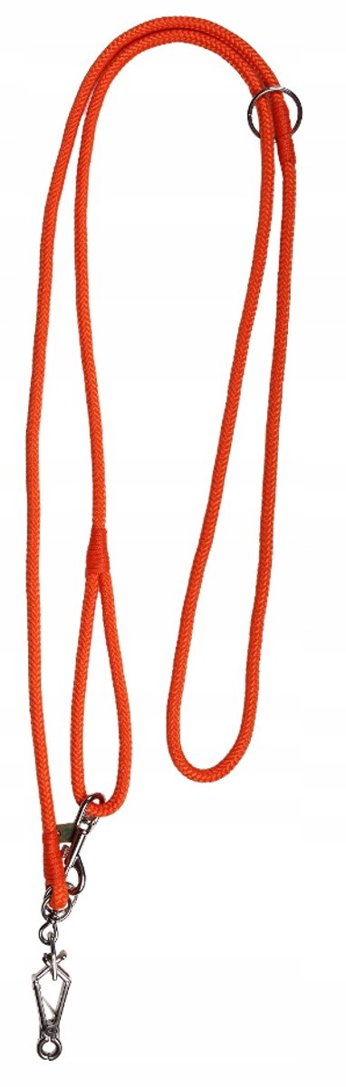 2Wolfs Forest Verstelbare Hondenriemen 300/10cm Oranje