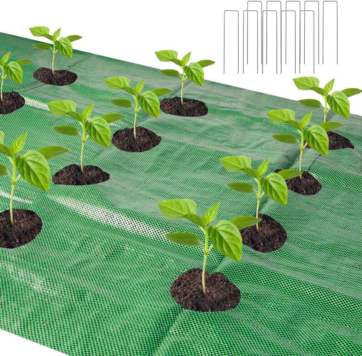 Onkruidbarrière Landschapsstof - Bodembedekker Tuin - Onkruid Vrij Houden - Met Plantgaten - 33 x 33 ft - Groen