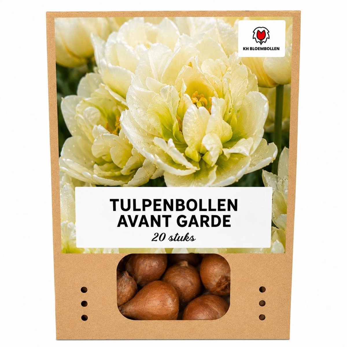 Tulpenbollen Avant Garde – 20 Stuks | KH Bloembollen® | Gele Dubbelbloemige Tulp – Uniek, Vol & Elegant – Voor Tuin of Pot – Maat 11/12 – Vers van de Teler