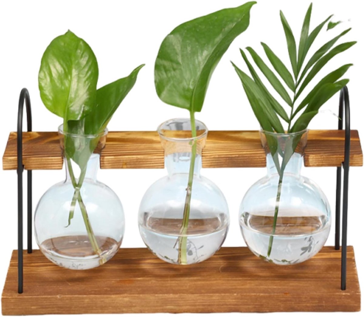 Plant propagatiestation - Glazen testtubes - Houten standaard - Ideaal voor hydroponische planten - SnelShoppen