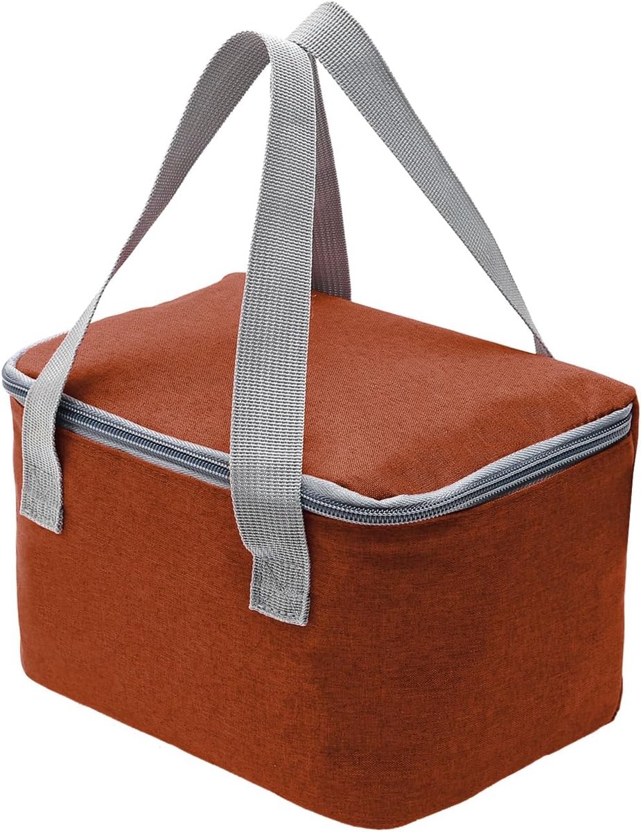 Koeltas 4 Liter - Geïsoleerd Aluminium Folie - Ideaal voor School en Picknick - SnelShoppen