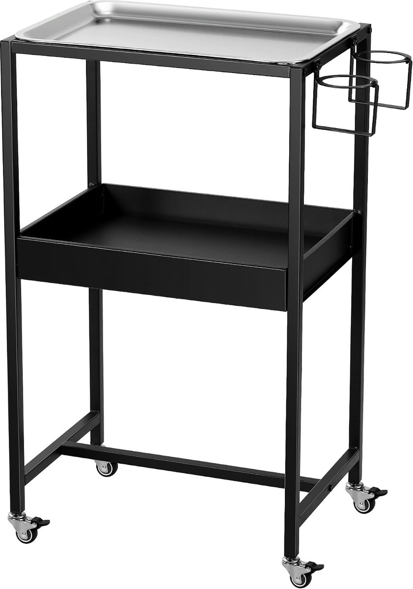 Tattoo rolling trolley 2-laags - roestvrijstalen tray - verplaatsbare lade - ideaal voor tattoo salon en thuisgebruik - ShopVlot