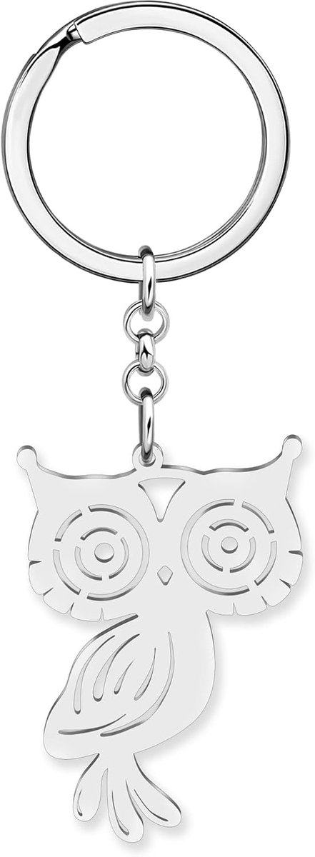 Leuke uil vogel sleutelhanger uilen geschenken voor dames meisjes, roestvrij staal dier auto sleutelhanger tas hanger rugzak accessoires