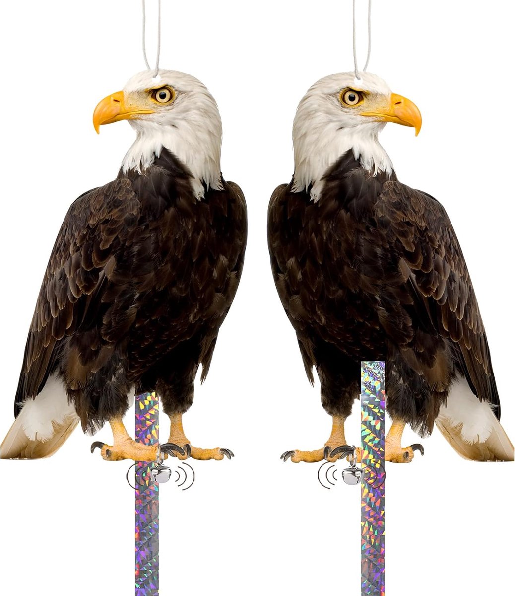 Uil, duivenverschrikker, vogelverschrikker, vogelverschrikker, vogelverschrikker, duivenafweer, duivenafweer, uil, tuinafweer, 2 stuks karton