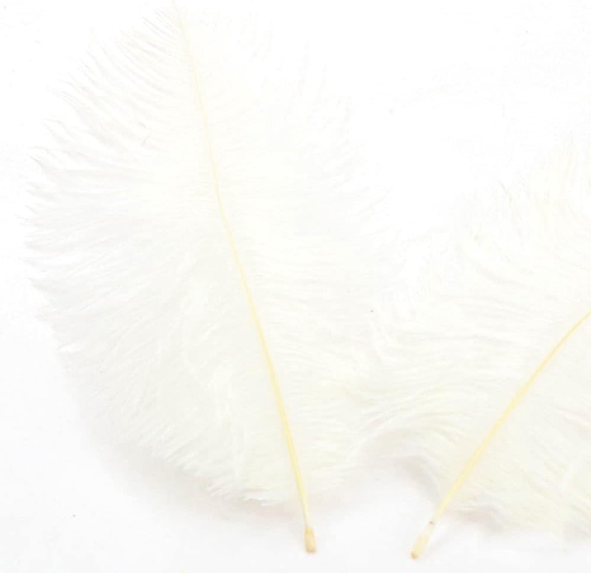 Veren, 30 stuks, 20 - 25 cm, om te knutselen, knutselveren voor doe-het-zelf dromenvanger-accessoires, woondecoratie, kostuums, tafeldecoratie, bruiloft, feest, hoed, kleding
