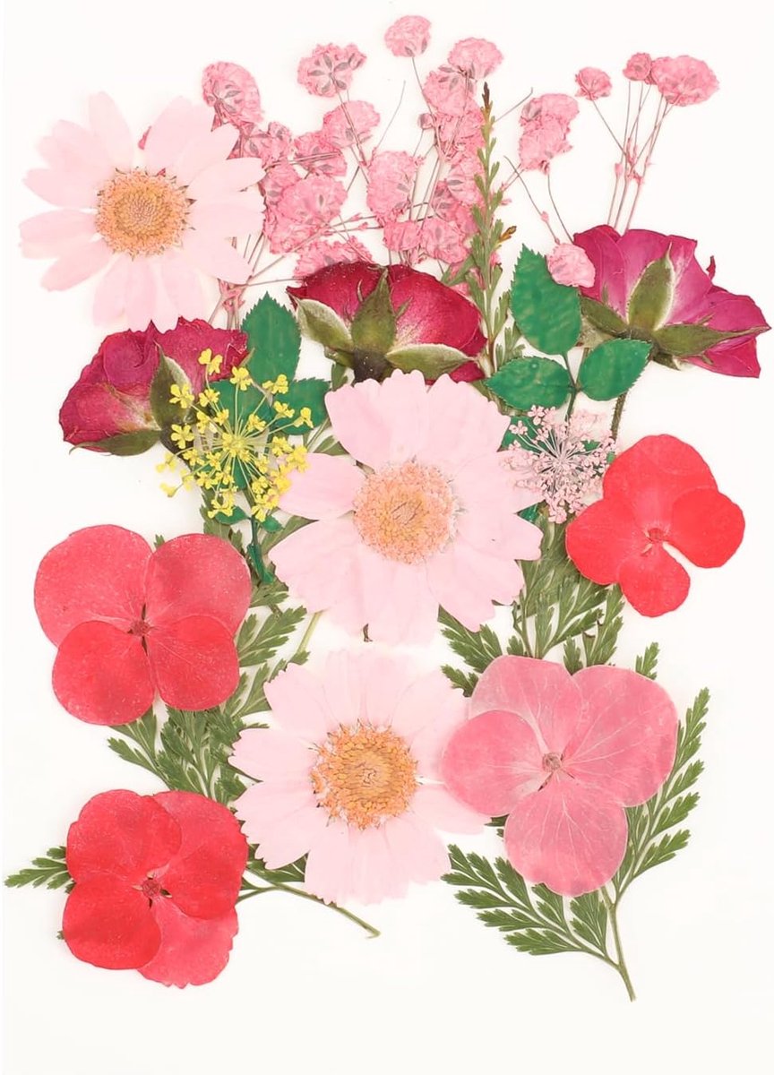 Gedroogde bloemen decoratie - 19 verschillende soorten - natuurlijk en veilig - perfect voor DIY projecten - SnelShoppen