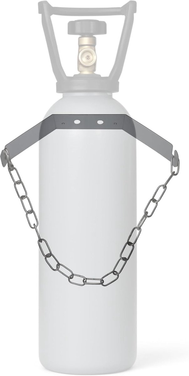 CO2 fleshouder 2-10 kg - roestvrij staal - wandmontage - veilig voor spuitwater machines - SnelShoppen