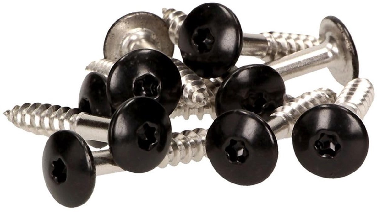 Facade schroeven 5,5 x 25 mm - Inox V4A zwart - Torx T20 - ideaal voor gevelconstructie - ShopVlot