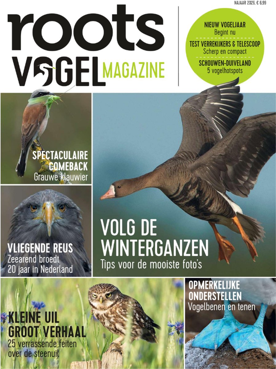 Vogelmagazine - najaar 2026