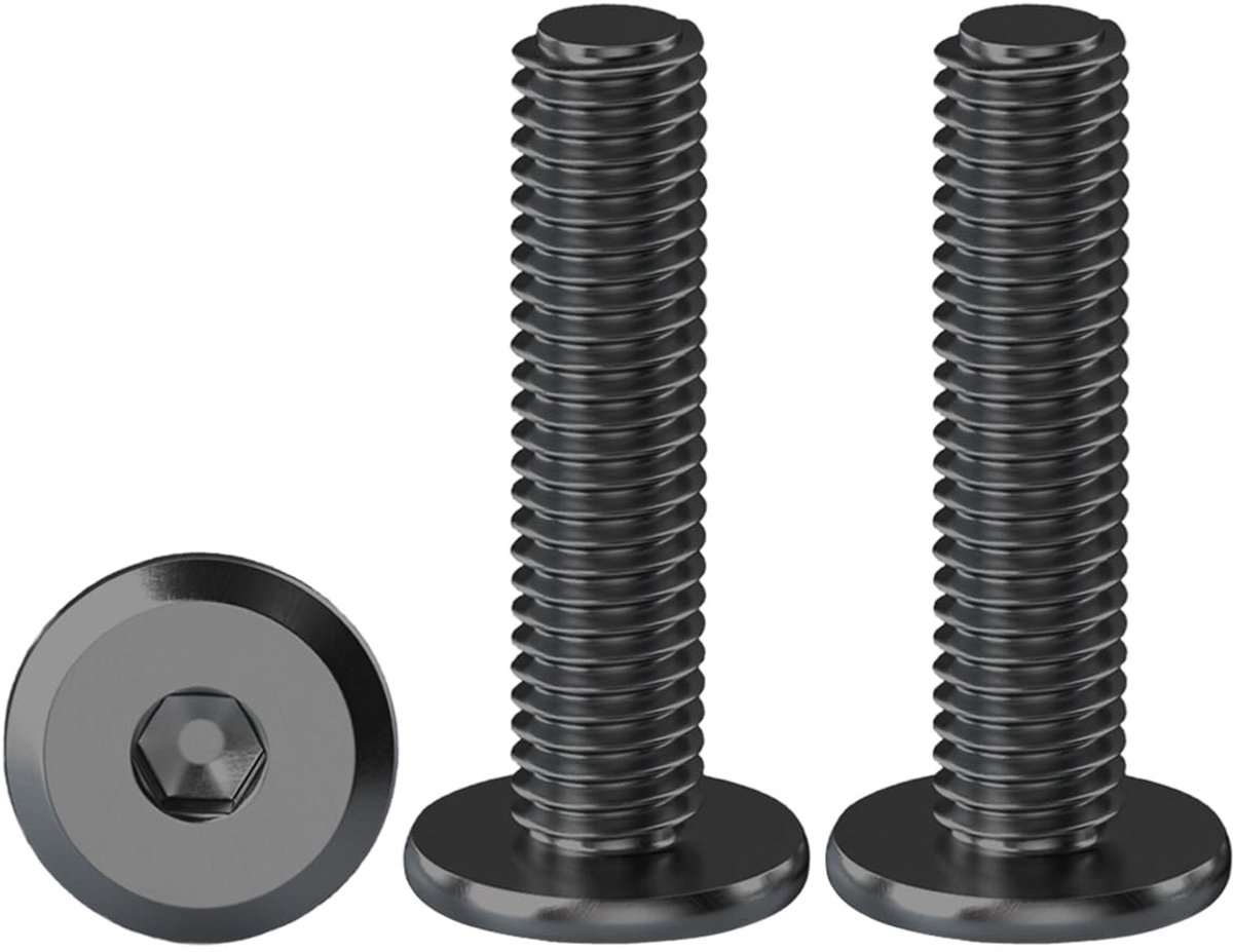 RVS Schroeven M6 x 25 mm - 20 Stuks Platte Kop Zeskant, Zwart, A2 V2A, Halfrond, Machine- en Meubelverbindingen