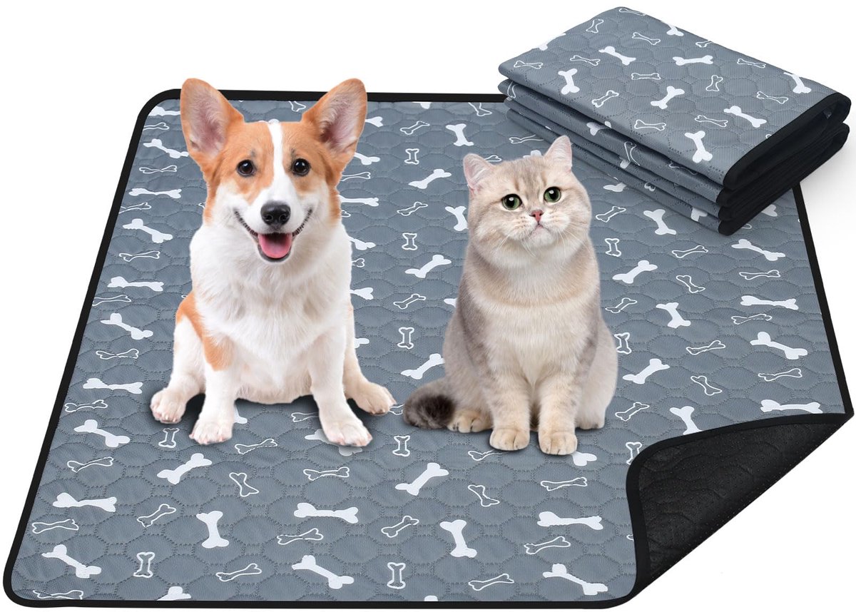 Wasbare Plasmatten voor Huisdieren - Set van 2 - 70 x 100 cm - Sterk Absorberend & Lekvrij - Herbruikbaar - Voor Honden, Katten, Konijnen & Cavia's