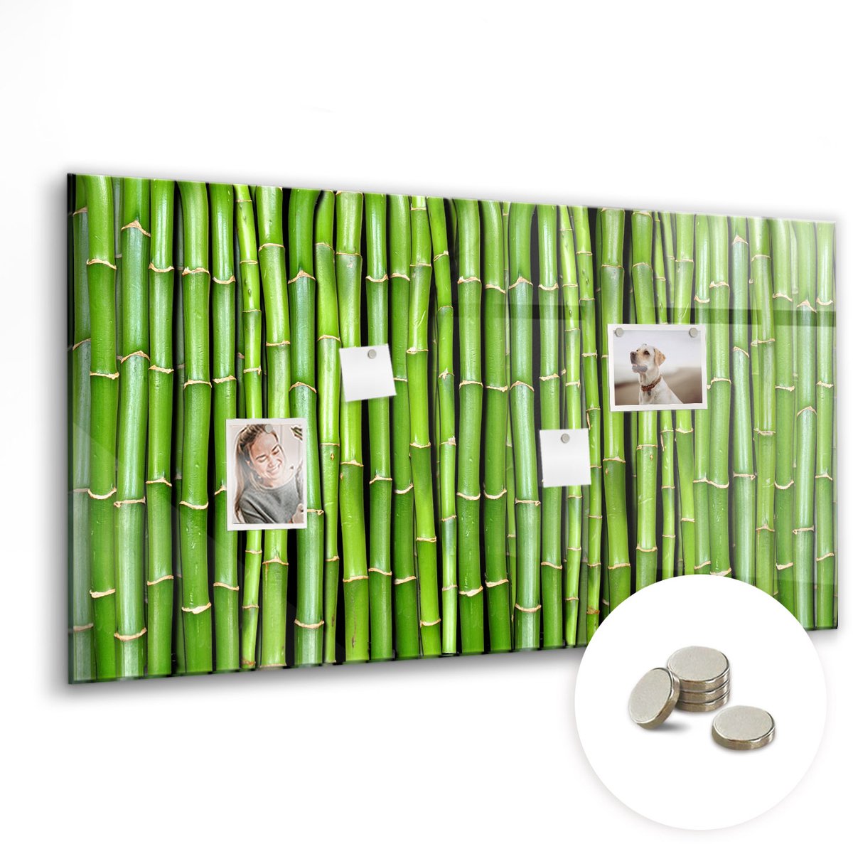 Coloray Glazen Magneetbord - Magnetisch Bord Houten planken - 120x60 cm - Groente Magneetbord - Magnetic Board - Magnetisch Wandbord