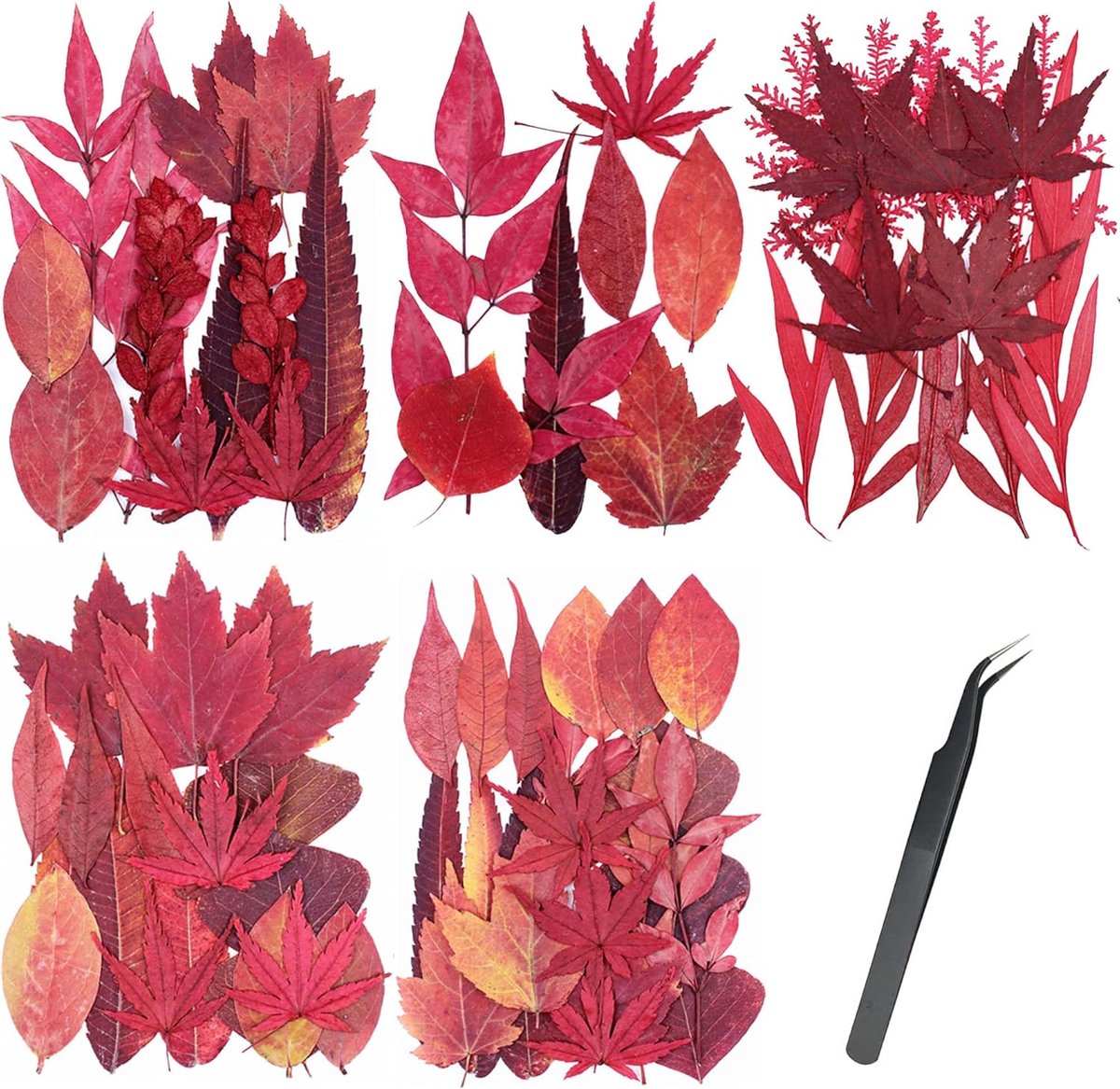 SnelShoppen - 73 Stuks Natuurlijke Rode Esdoornbladeren, Gedroogde Bloemen voor Resin, Kaarsen, Creatieve Decoratie, Vakantie, Tuin, Ambachten