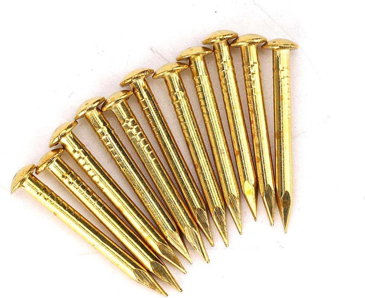 SnelShoppen - Pack van 100 Messing Spijkers, Messing Rozen Spijkers, Ronde Kop, 22mm Lang, Houtbewerking, Voor Het Ophangen van Fotolijsten, Spiegels,