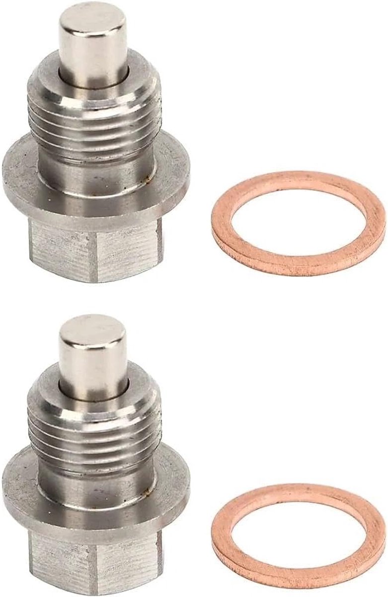 SnelShoppen - 2Pcs M14 X 1.25mm Magnetische Olie Afvoerplug DP015 RVS Motor Olie Afvoer Moer Bout met Koper Compressiering, Universeel voor Auto