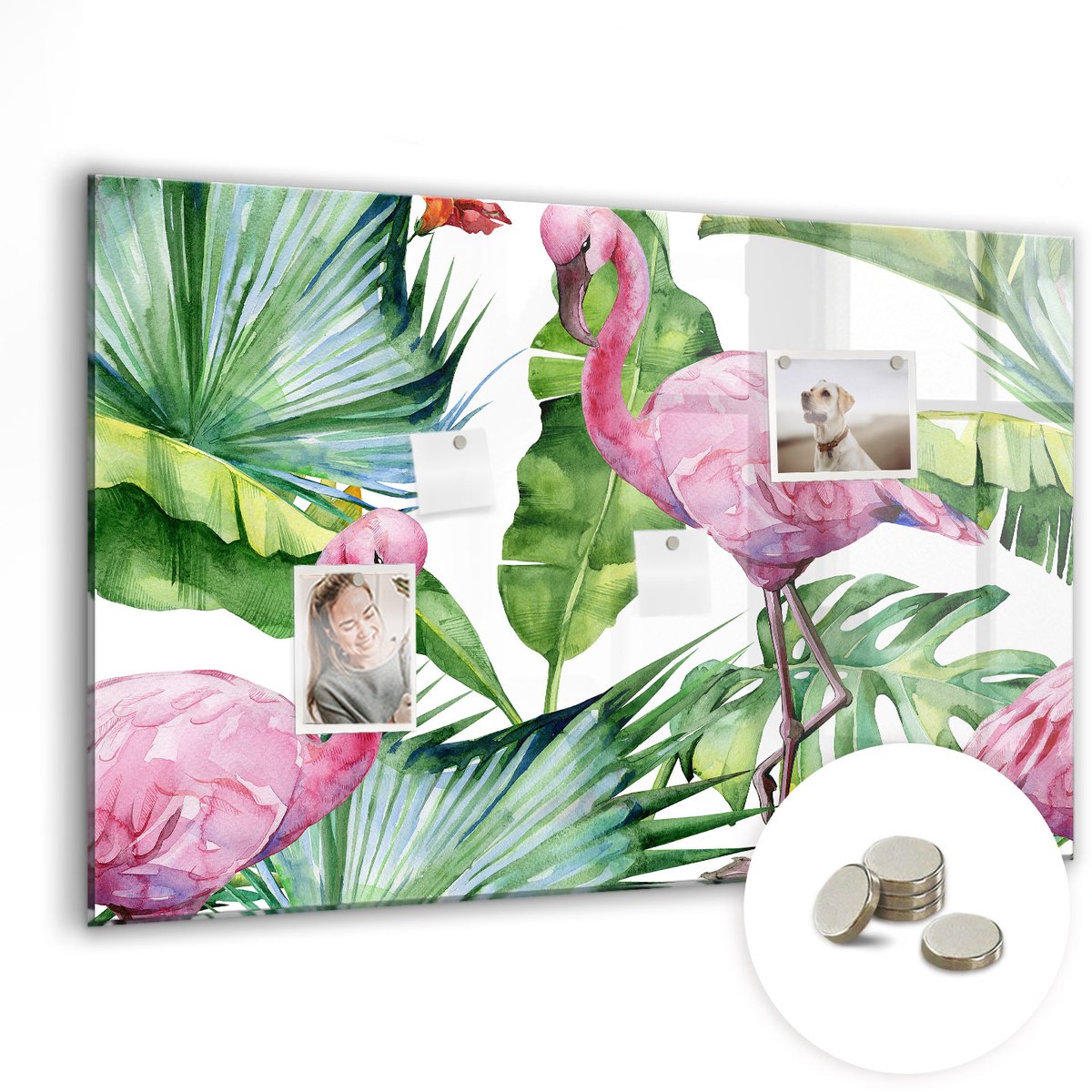 Coloray Glazen Magneetbord - Magnetisch Bord Chilipepers - 90x60 cm - Veelkleurig Magneetbord - Magnetic Board - Magnetisch Wandbord