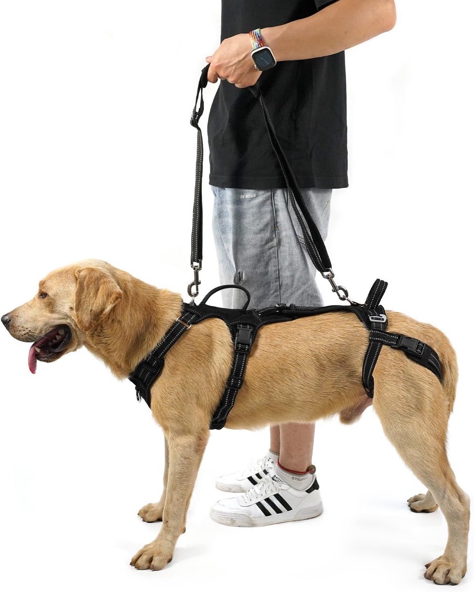 SnelShoppen - COODEO Hond Lift Harnas, Ondersteuning & Wandelriem, Rehabilitatie Vest voor Rechters, Zwarte Maat S voor Oudere Honden met Gewrichtsble