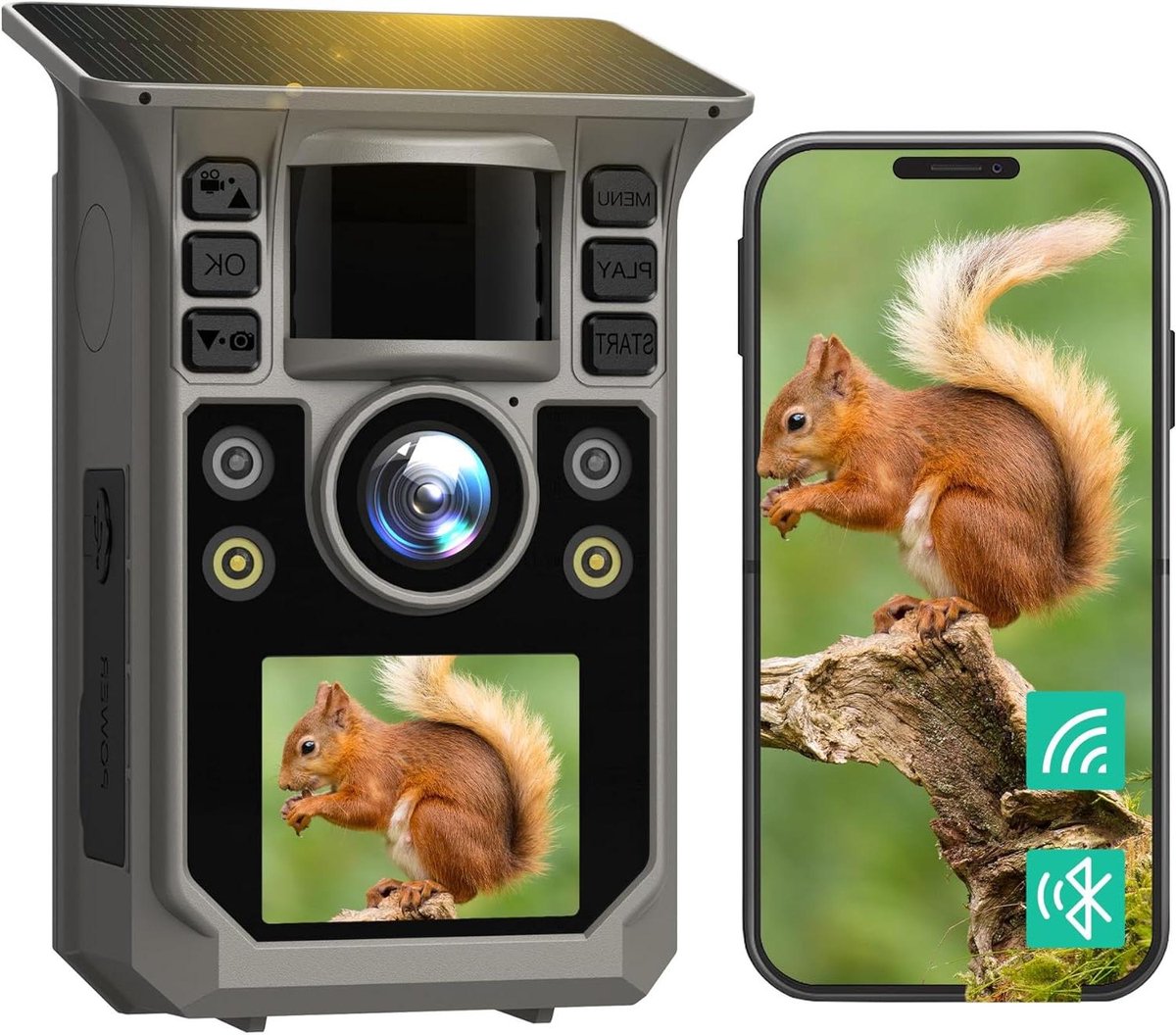 Wildcamera - Nachtzicht Camera - Dieren Observeren - Full Colour Nachtzicht - 4K Video 64MP - Bruin