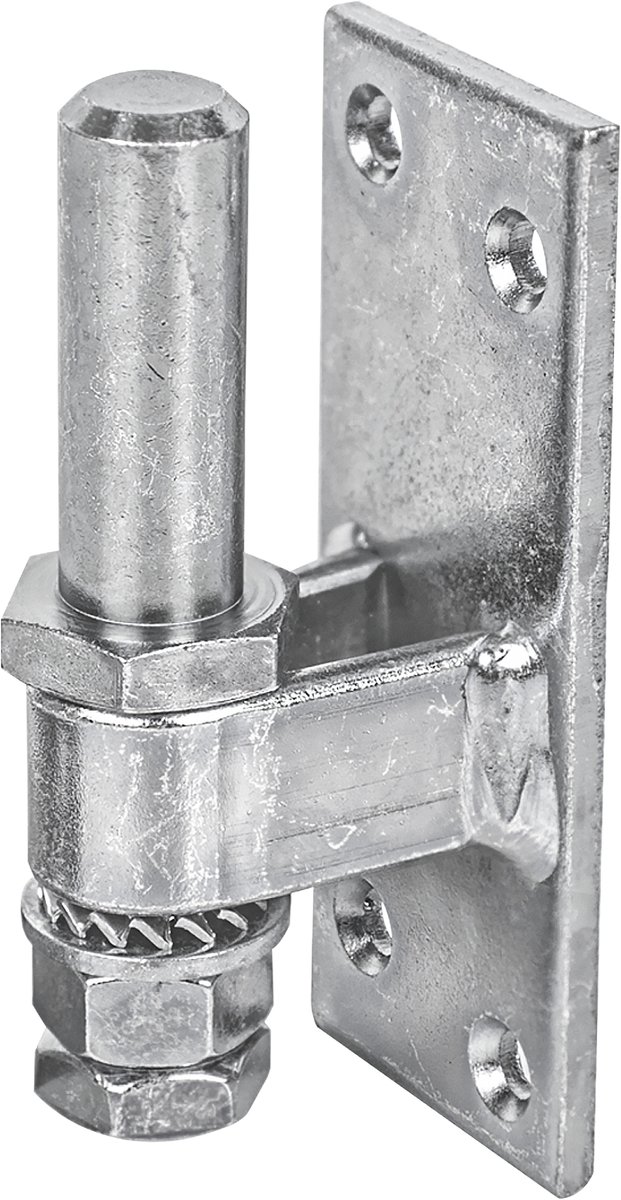 Alberts 311148 plaatduim om vast te schroeven | verstelbaar | galvanisch verzinkt, gechromateerd | doornmaat Ø16 mm | plaat 100 x 40 mm