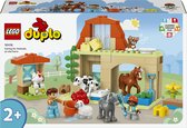 LEGO DUPLO Dieren verzorgen op de boerderij - 10416