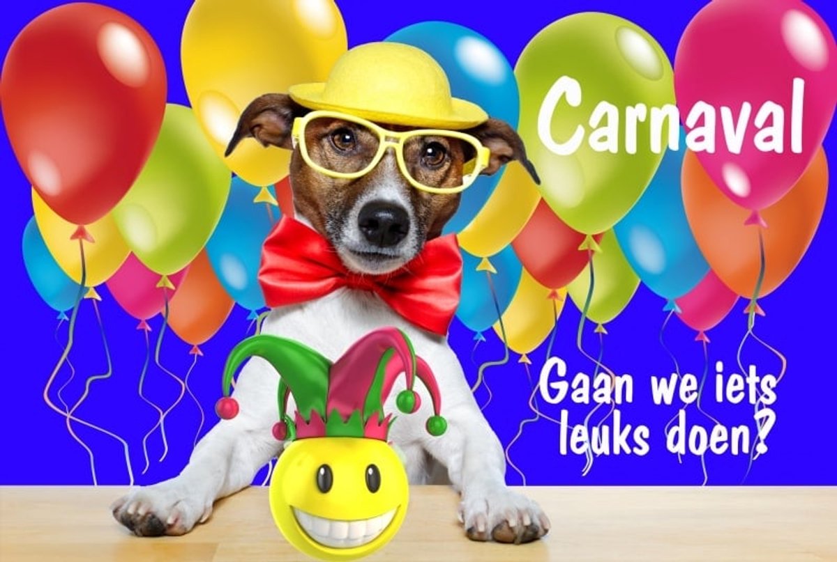 Carnaval | 17x11 | 6 stuks | Vak 110