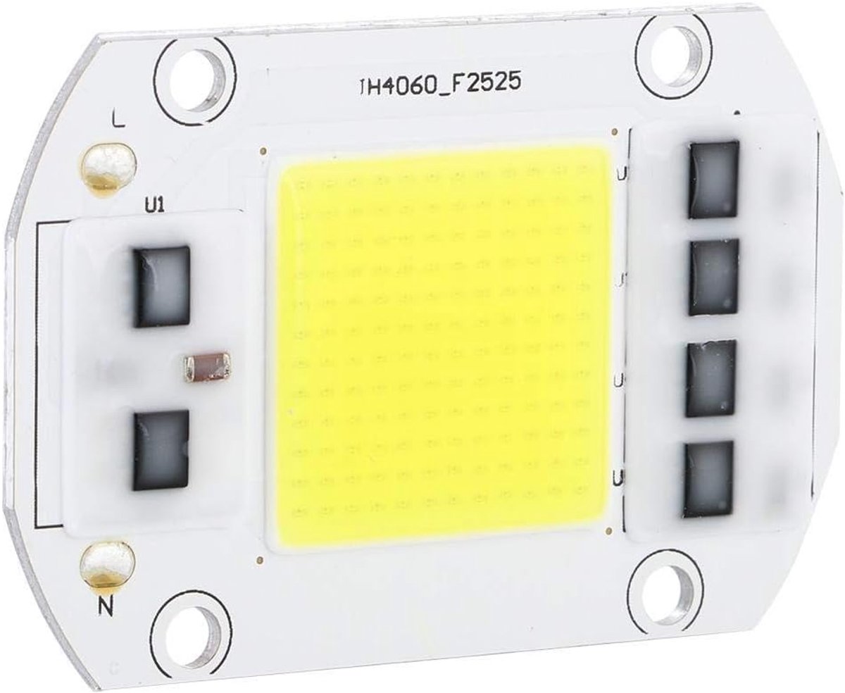 SnelShoppen - 100W 220V LED Chip - Koude Witte High Power COB LED Lamp - Dimmer Lichtbron voor Binnen en Buiten - Duurzaam en Veilig Gebruik - Overver