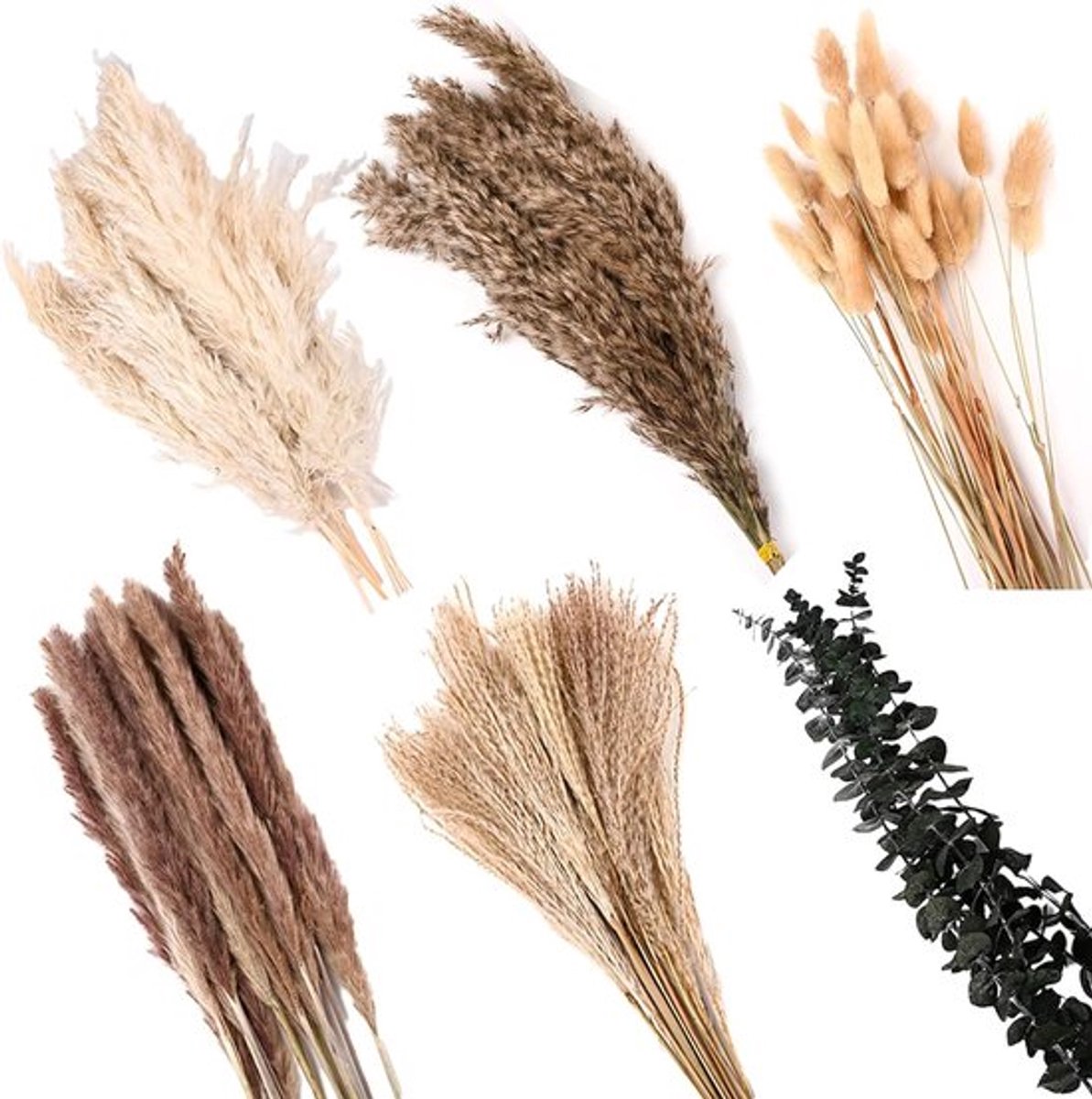 Gedroogde pampasgras decoratieset van 110 stuks, natuurlijke droogbloemen voor boho-interieur, perfect voor bruiloften, slaapkamers en tafelversieringen
