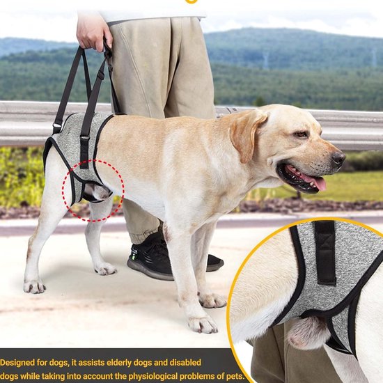 Hondenharnas voor honden met beperkte mobiliteit, steun voor achterpoten, ideaal voor oudere en gehandicapte honden (S) — afbeelding 4